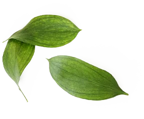 Acasă 38 uranus yoga care 1