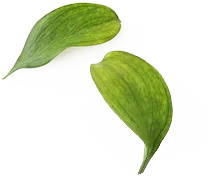 Acasă 39 uranus yoga care 2