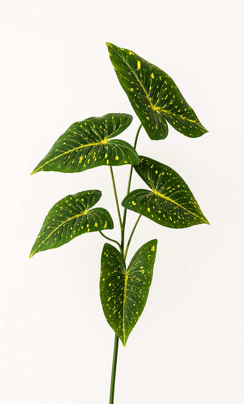 Verdeata artificiala cat